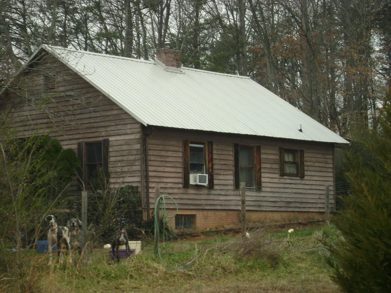 White metal roof on an old wood sided farmhouse, from a Asphalt Shingle Roof Repair job in Pine Valley